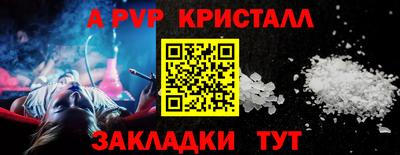 дмт Донской