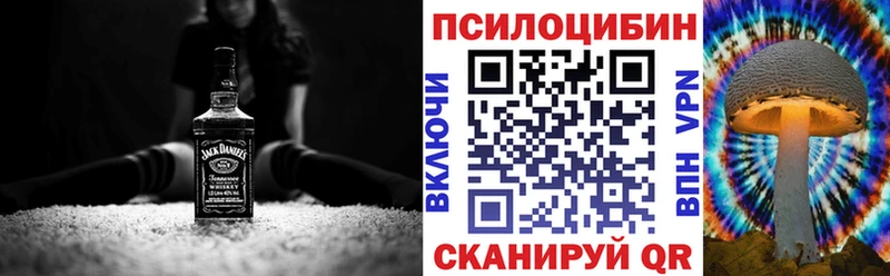 наркота  Улан-Удэ  Галлюциногенные грибы Psilocybine cubensis 